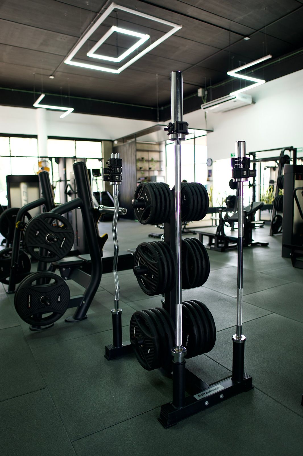 Rack de discos y barras